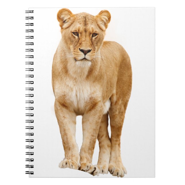 Lejon Big Cat Predator stolt Anteckningsbok (Framsidan)