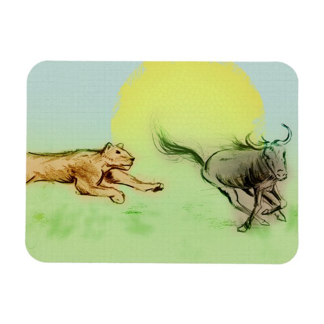 Lejon Chasing Buffalo i Vilden Photo Magnet (Horisontell)