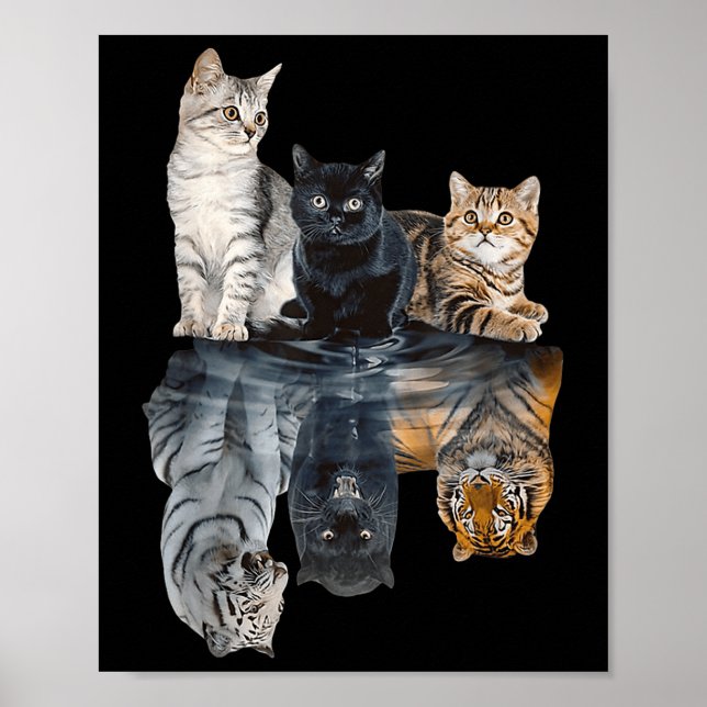 Lejon Cheetah Tiger Funny Ca. Poster (Framsidan)