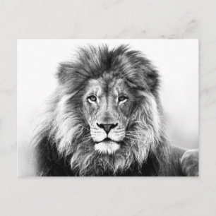 Lejon design vykort
