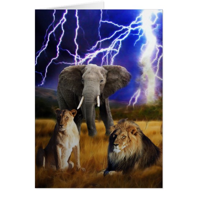 Lejon Elephant South Afrika Hälsningskort (Framsidan)