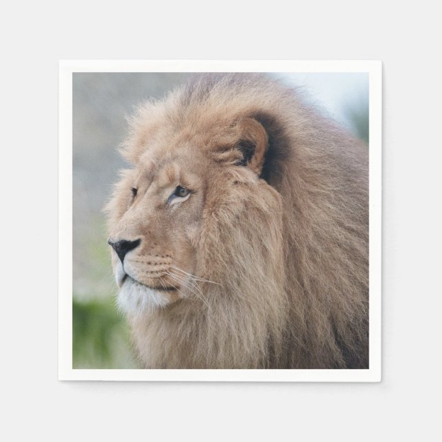 Lejon Embrace Pappersservett (Framsidan)