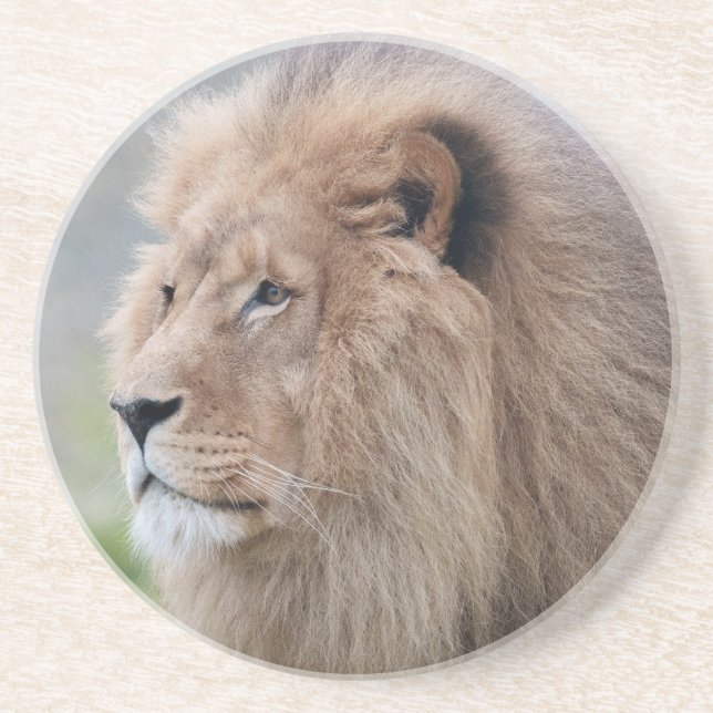 Lejon Embrace Underlägg (Framsidan)