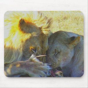 Lejon Feast Wildlife-fotomatta Musmatta