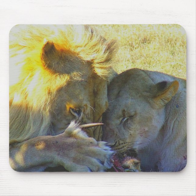 Lejon Feast Wildlife-fotomatta Musmatta (Framsidan)