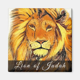 Lejon för Judah Magnet