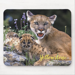 Lejon för Mouse Pad-Yellowstone Mountain Musmatta