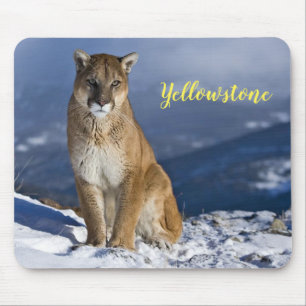 Lejon för Mouse Pad-Yellowstone Mountain Musmatta