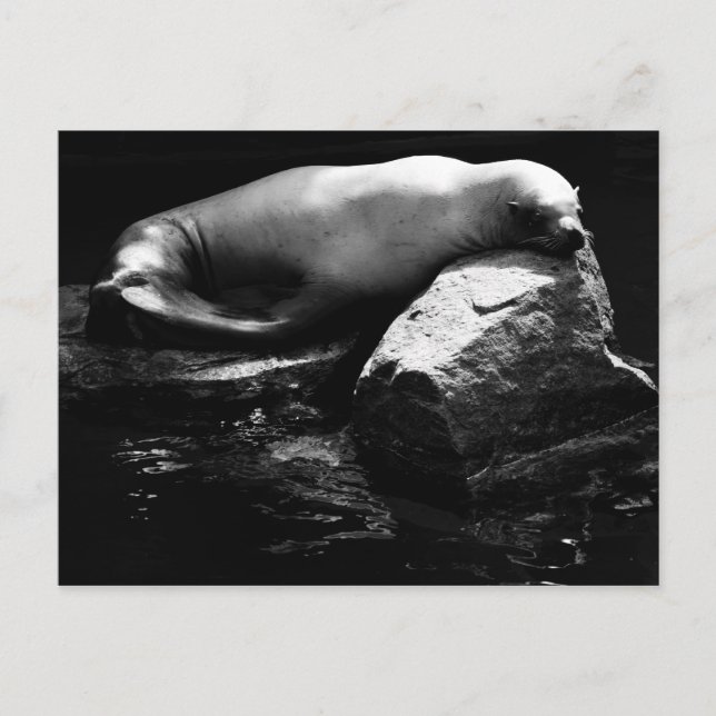 Lejon för sömnen .1781 vykort (Framsida)