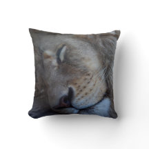 Lejon för sömnmanlig