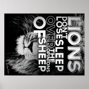 Lejon förlorar inte sömnen över fårets åsikter poster