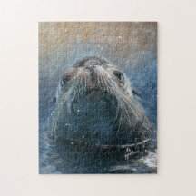 Lejon fotografi av vattenfärg för Cute Seal Sea