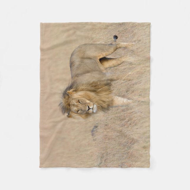 Lejon gång fleecefilt (Framsidan)