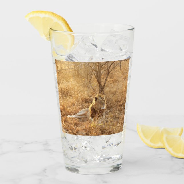 Lejon Glaskopp (Framsida Ice)