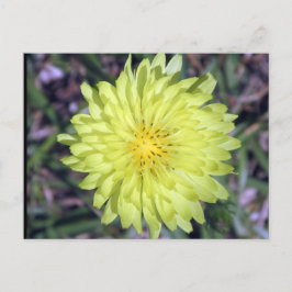 Lejon Gult av huvud BLOMMKTA-postkorsning Vykort