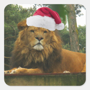 Lejon ha på sig Santa för jul hatt Fyrkantigt Klistermärke