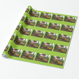 Lejon ha på sig Santa hatt för jul Presentpapper