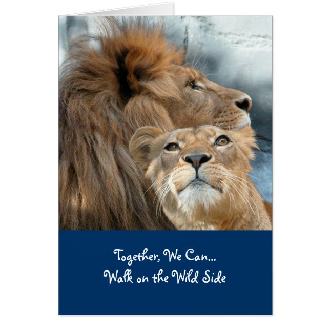 Lejon Hälsningskort (Framsidan)