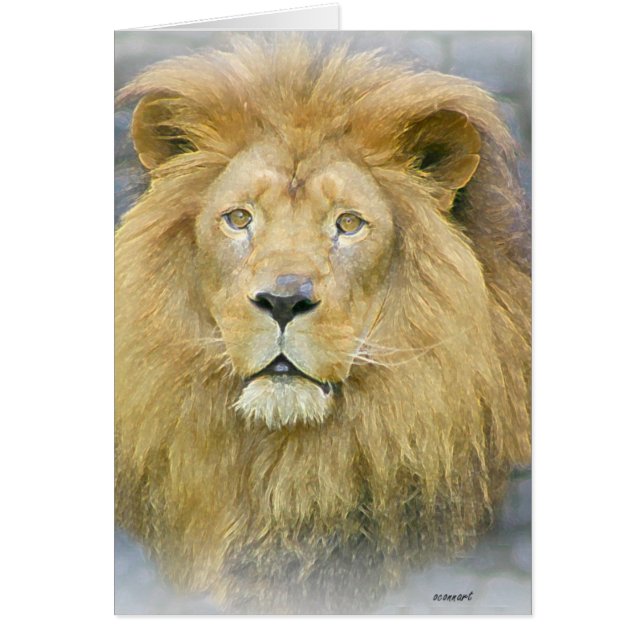 lejon hälsningskort (Framsidan)