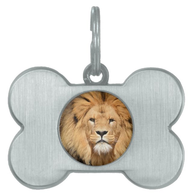 Lejon Head Namnbricka Husdjur (Framsidan)