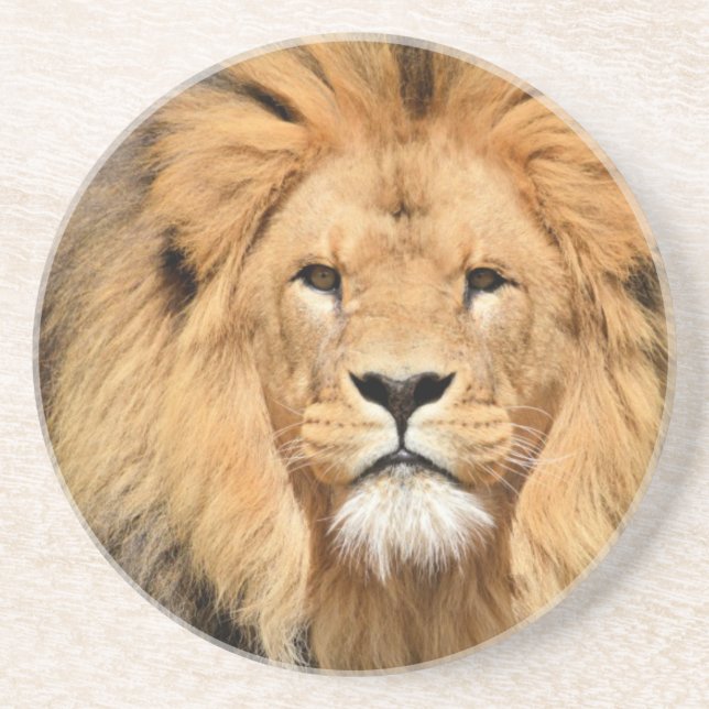 Lejon Head Underlägg Sandsten (Framsidan)