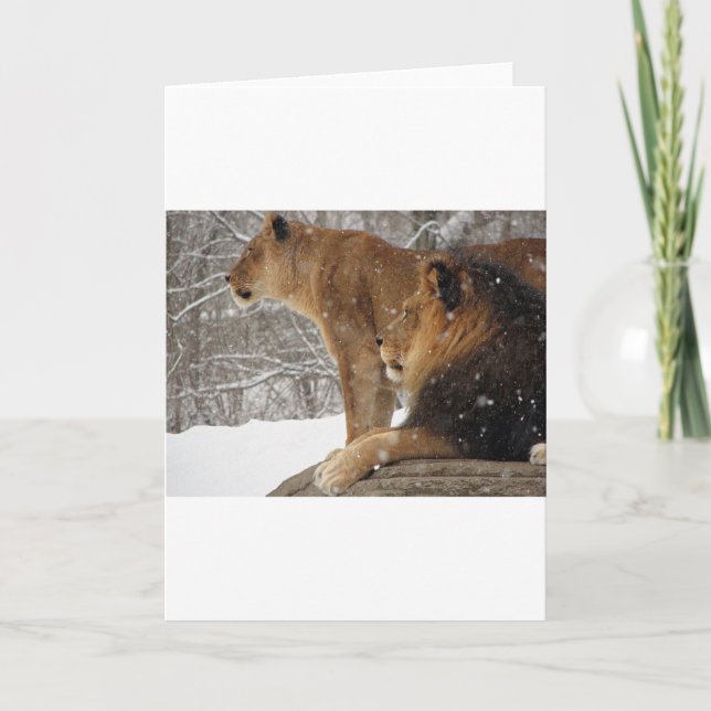 Lejon Helgkort (Framsida)