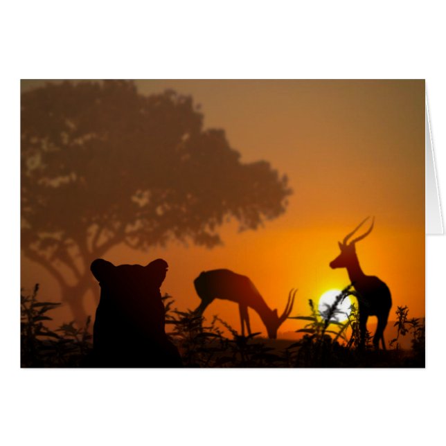 Lejon Hunt Hälsningskort (Framsidan Horizontal)