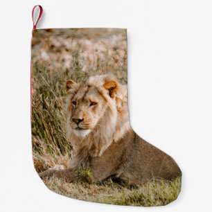 LEJON I GRAS LITEN JULSTRUMPA