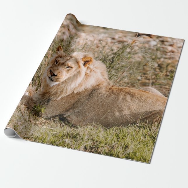 LEJON I GRAS PRESENTPAPPER (Utrullad)