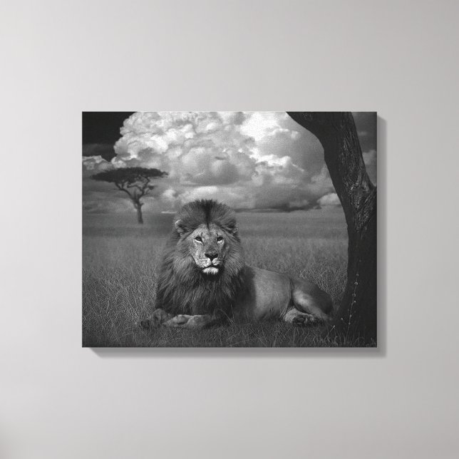 Lejon i Grass Canvastryck (Framsida)