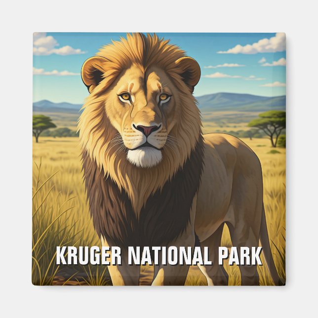 Lejon i Krugers nationalpark South Afrika Magnet (Framsidan)