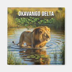 Lejon i Okavango Delta Botswana Magnet