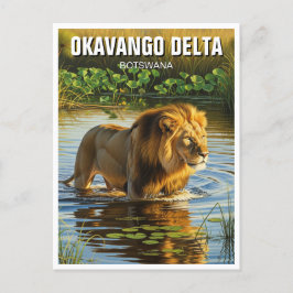 Lejon i Okavango Delta Botswana Vykort