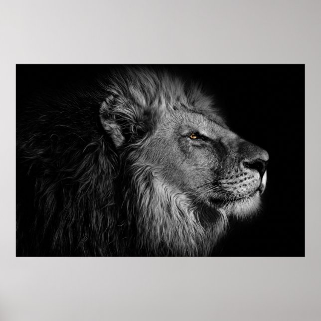 Lejon i svartvitt poster (Framsidan)