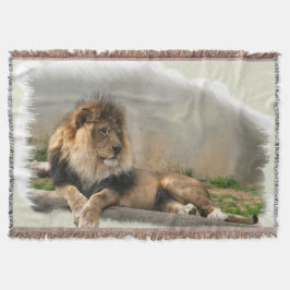 Lejon i viloläge filt