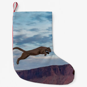 Lejon jumping-morgon-Skyhoppet,lejont,djur Liten Julstrumpa