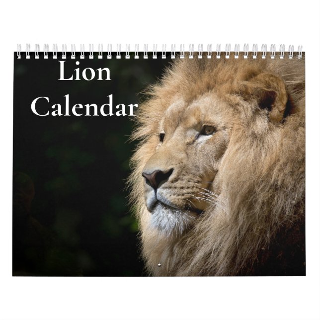 Lejon kalender 2026 (Omslag)