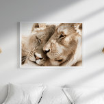 Lejon Kärlek Safari Animals Fotography Poster<br><div class="desc">Fånga vildens skönhet med "Lejon Kärlek Safari Animals Photography Poster". Detta fantastiska landskap poster ett ömtåligt ögonblick mellan en man och en kvinna på lejon, deras ögon är försiktigt tillslutna eftersom de förenar sig i en visning av kärlek och djup anknytning. Den närliggande porträtt visar den stora styrkan hos dessa...</div>