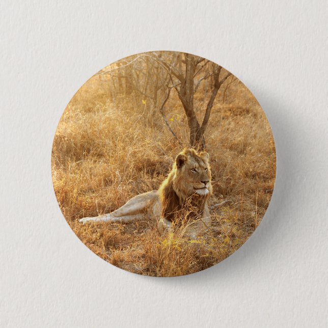 Lejon knapp (Framsida)