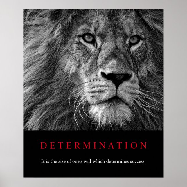 Lejon konst för svartvitt motivation poster (Framsidan)