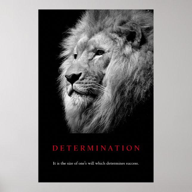 Lejon konst för svartvitt motivation poster (Framsidan)