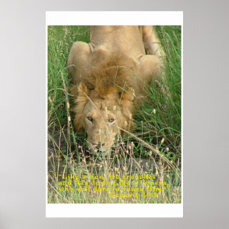 Lejon korsning, Gömt ej Poster