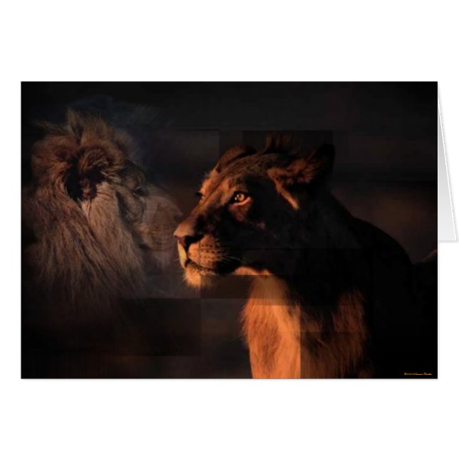 Lejon-kort Hälsningskort (Framsidan Horizontal)