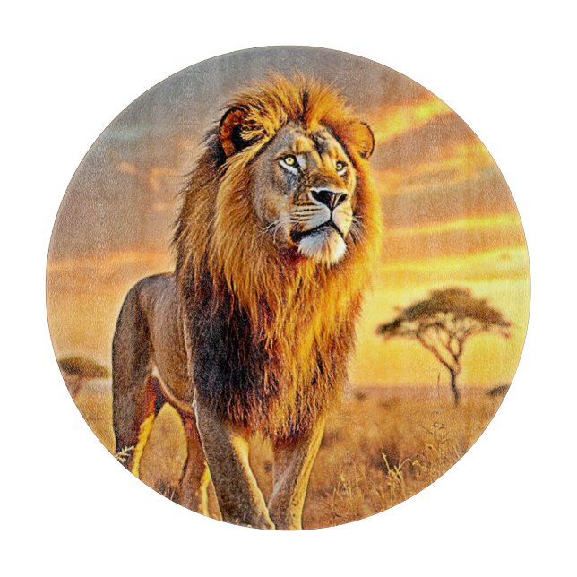Lejon Kung Savanna Sunset Design (Framsidan)
