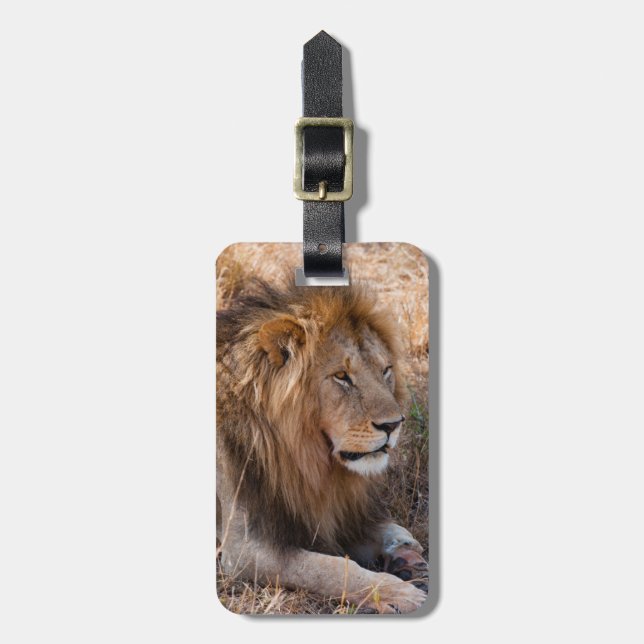 Lejon Maasai Mara Nationalreservat, Kenya Bagagebricka (Vertikal Framsida)
