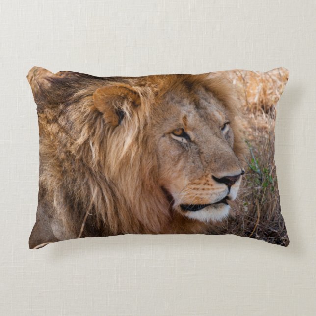 Lejon Maasai Mara Nationalreservat, Kenya Prydnadskudde (Framsidan)