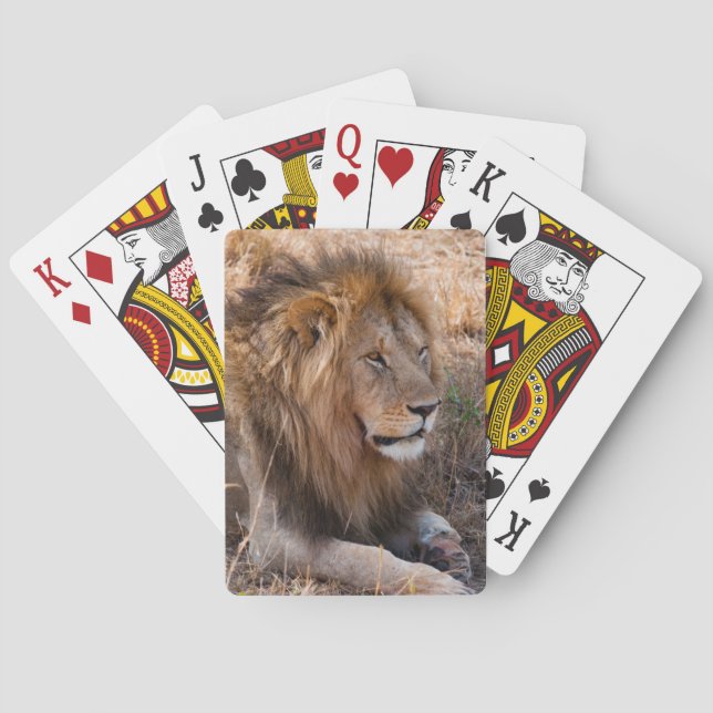Lejon Maasai Mara Nationalreservat, Kenya Spel Kort (Baksidan)
