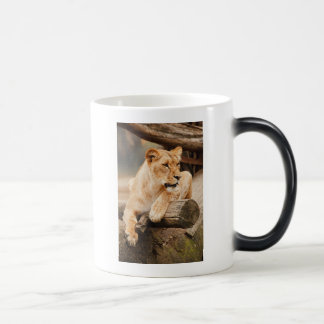 LEJON MAGISK MUGG
