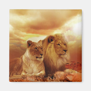 Lejon Magnet