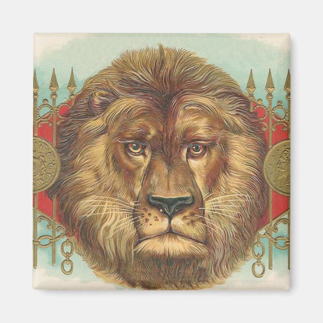 Lejon Magnet (Framsidan)